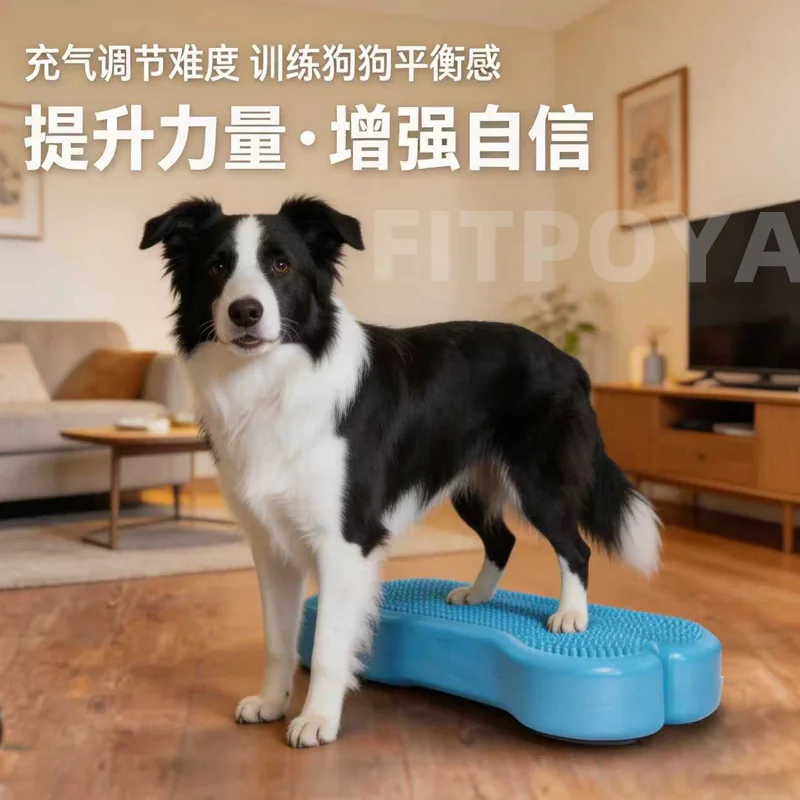 FITPOYA 骨形健身球